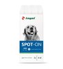 Amigard Spot On Hund  über >15 kg 3 x 4 ml