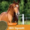 HBD'S DIGESTO VIT für Pferde 2kg